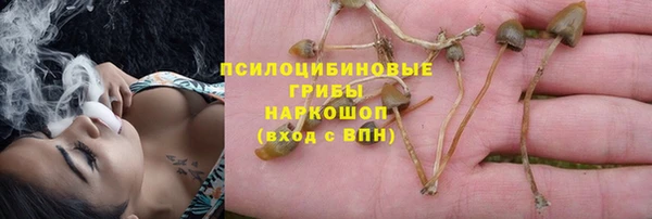 бутират Алексин