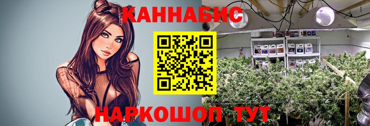 Каннабис OG Kush Биробиджан